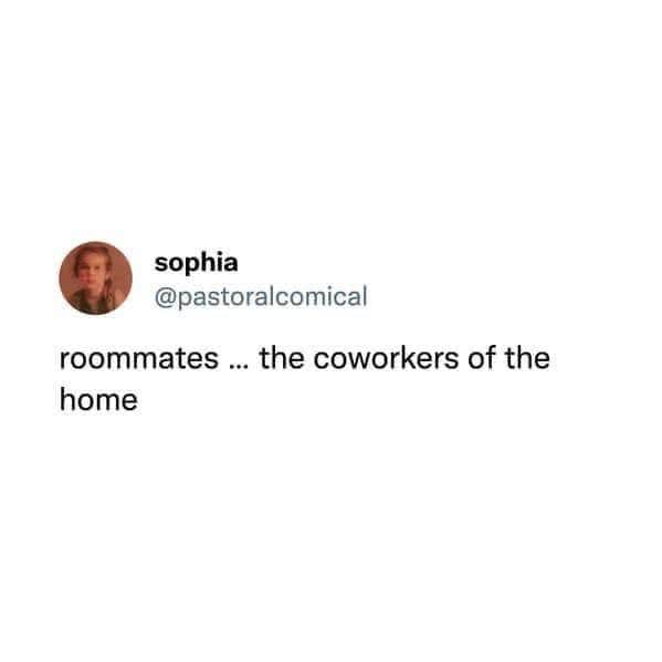 Simple text post tweet humorously defining roommates as the coworkers of the home.