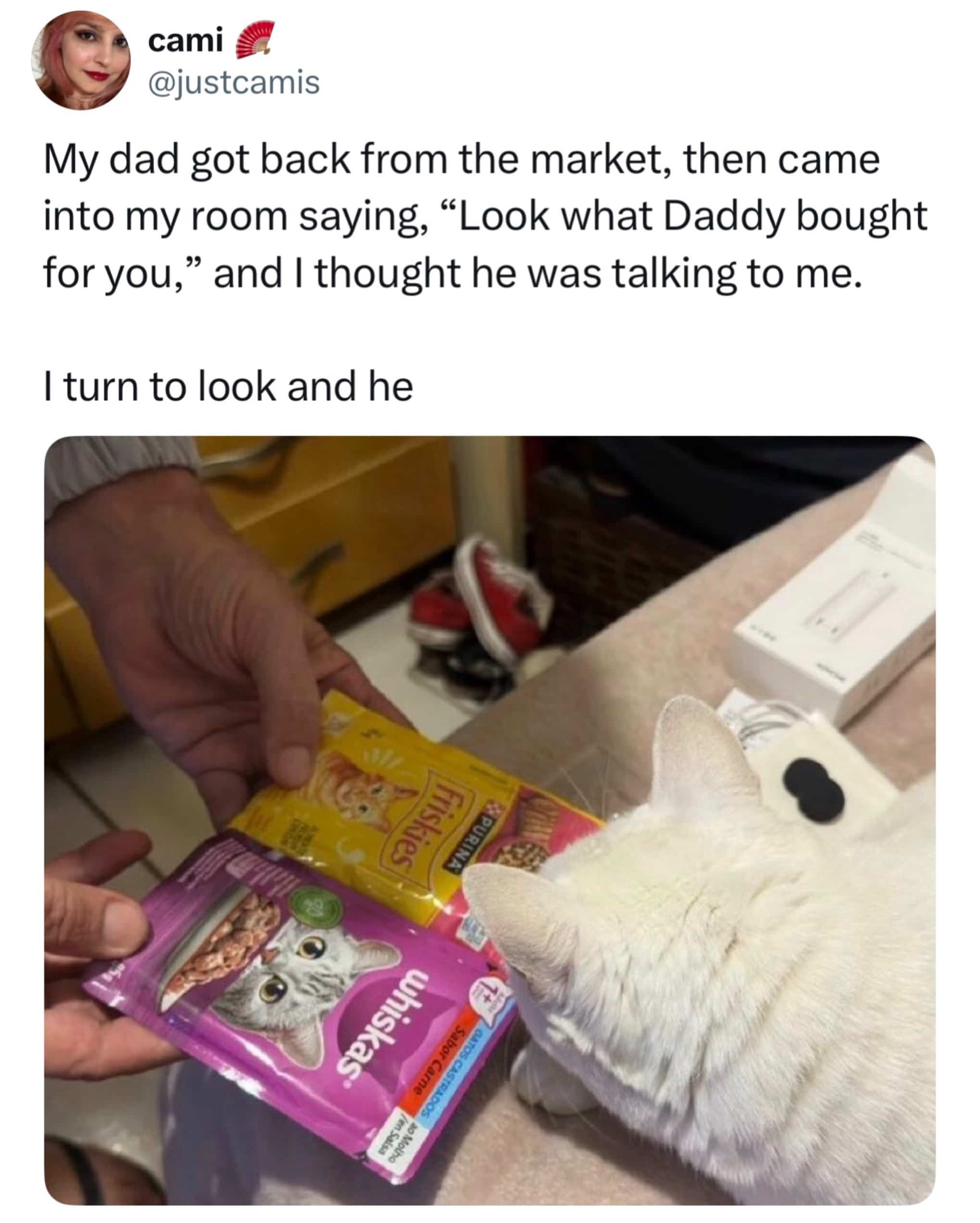 Tweet showing a dad bringing home cat food pouches for a white cat instead of his daughter.