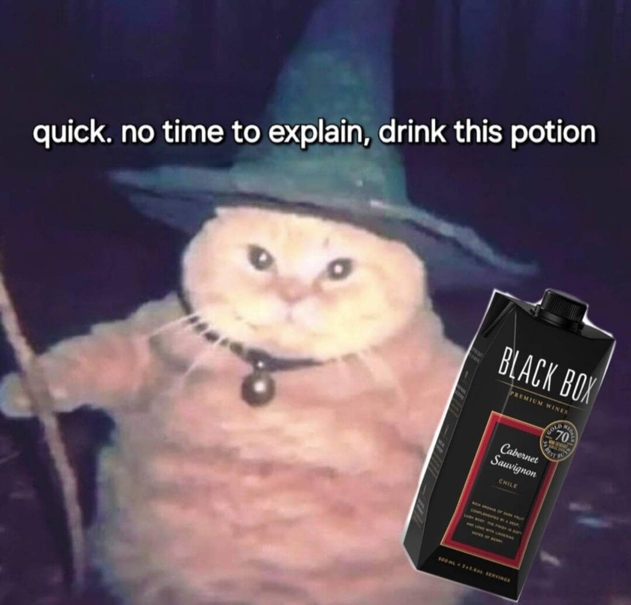 Meme featuring a wizard cat holding a box of Black Box Cabernet Sauvignon wine.
