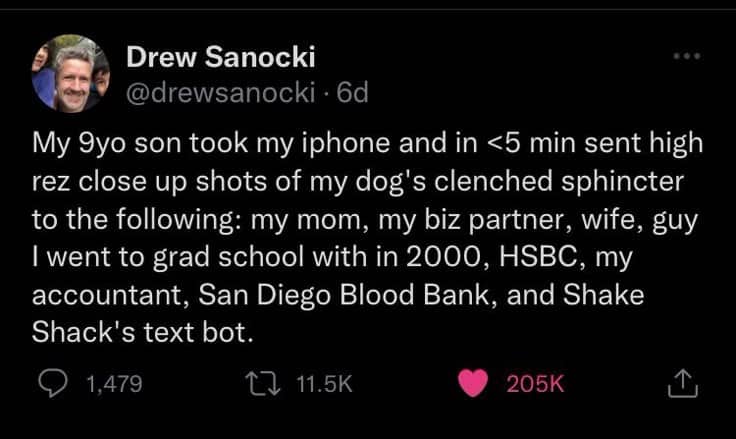 Drew Sanocki tweet describing his son sending close-up dog photos to a long list of professional contacts.