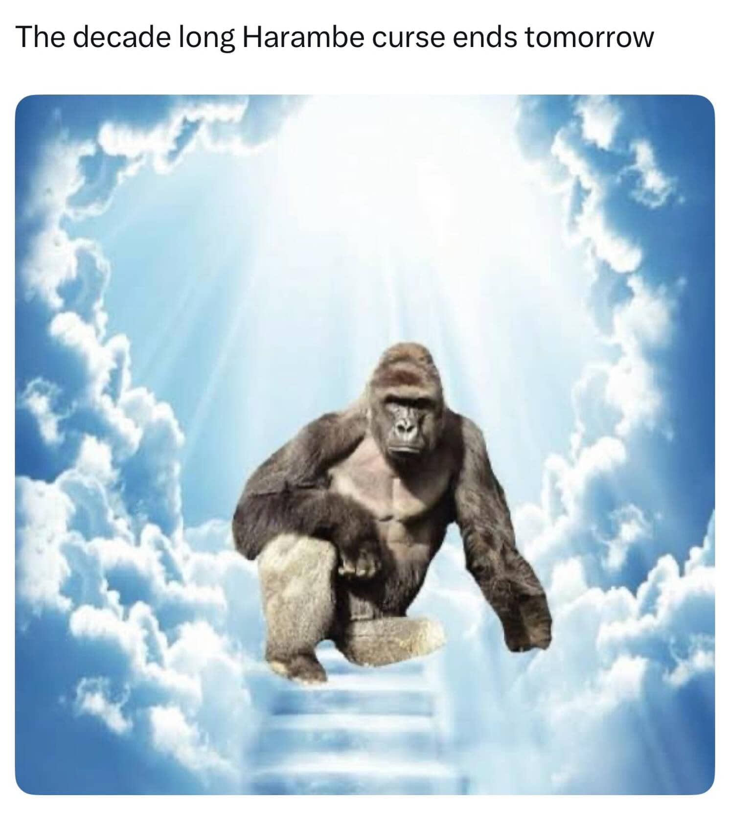 Harambe the gorilla sitting on a staircase in heaven surrounded by bright clouds.