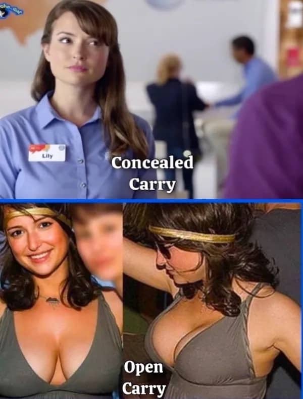 Comparison meme of Lily from AT&T labeled as concealed carry versus open carry in a low-cut dress.