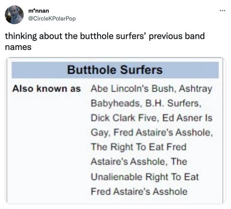 Wikipedia screenshot meme showing the bizarre previous band names of the musical group Butthole Surfers.