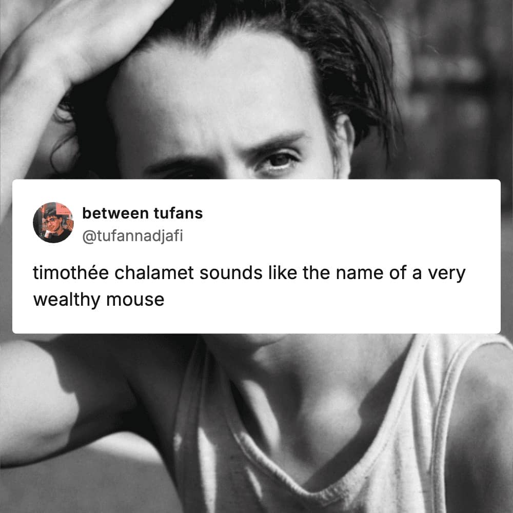 movie meme featuring a close-up black and white portrait of actor Timothée Chalamet, overlaid with a tweet observing that his name sounds exactly like the name of a very wealthy, aristocratic mouse.