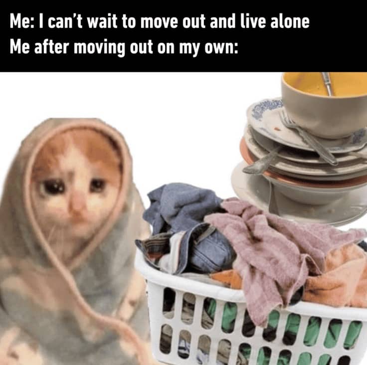 A sad crying cat wrapped in a towel next to piles of dishes and laundry.