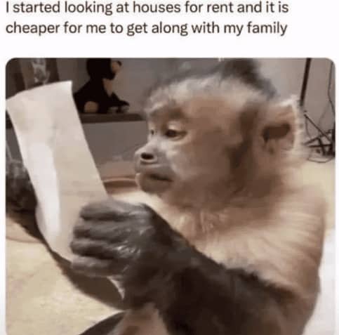 A monkey intensely staring at a piece of paper representing high rent costs.