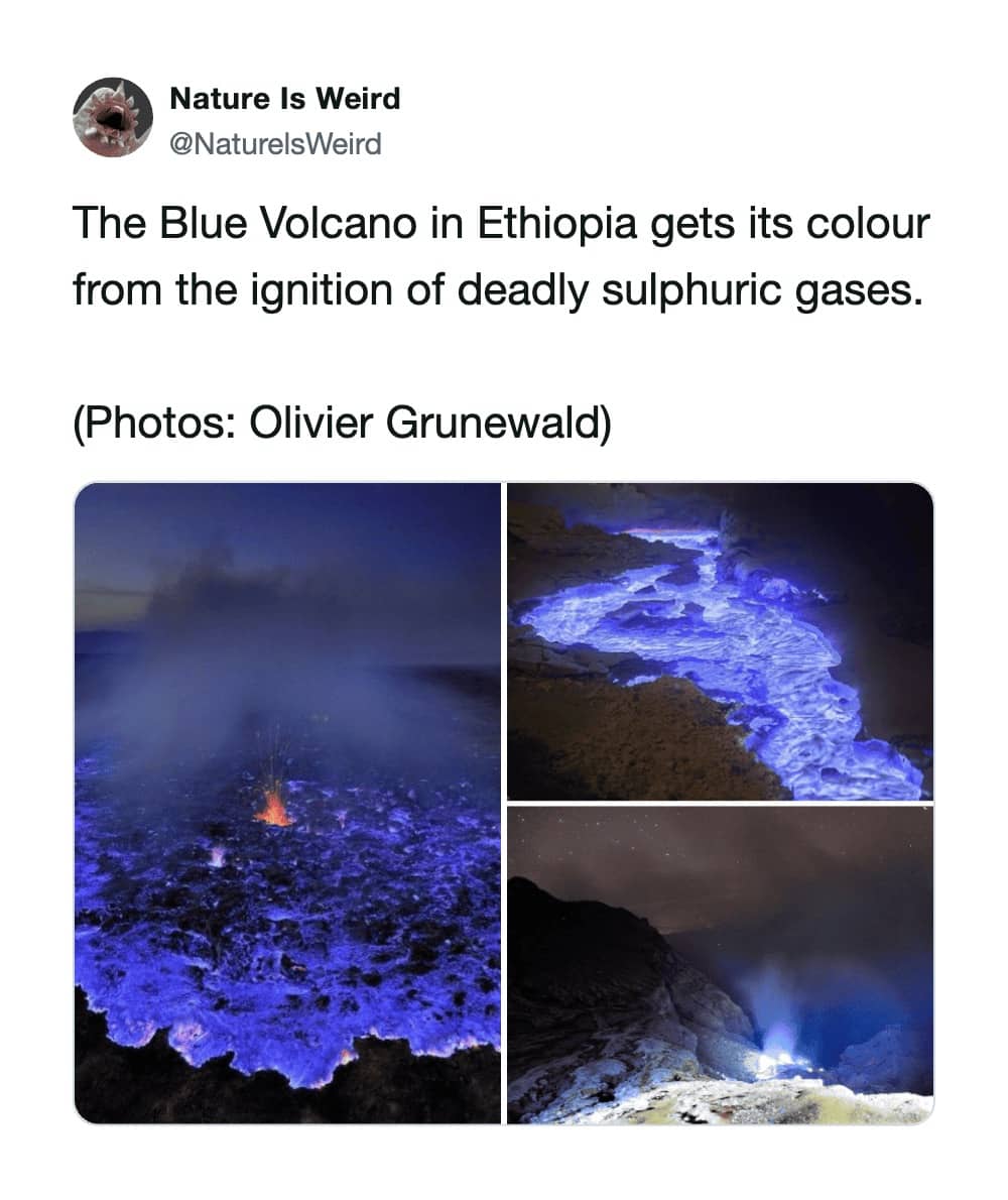 Nature Is Weird tweet displaying a glowing blue lava flow from the "Blue Volcano" in Ethiopia.