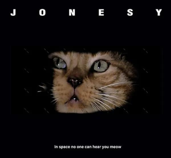 A high-quality sci-fi parody movie poster titled "JONESY" re-designs the original Alien horror film art, highlighting a close-up profile of Ellen Ripley's ginger cat peering through dark shadows above the text "In space no one can hear you meow."
