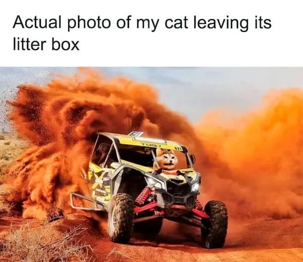 A chaotic speed-themed pet meme displays a high-powered off-road racing vehicle blasting through deep desert dirt, throwing up a massive orange dust cloud, edited with a cat's head as the driver.