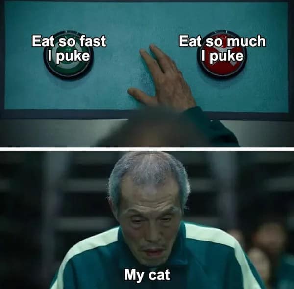 A Squid Game parody template functions as a hilarious pet meme portraying a cat's internal dilemma, hovering between two buttons: "Eat so fast I puke" and "Eat so much I puke."