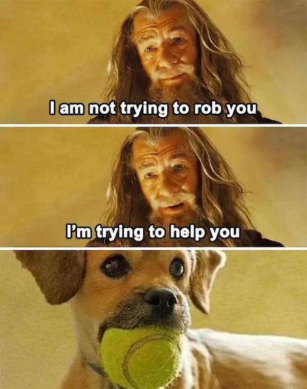 A Lord of the Rings movie crossover operates as a funny pet meme, using panels of Gandalf saying he is trying to help, paired with a scruffy dog refusing to surrender the green tennis ball stuck in its mouth.