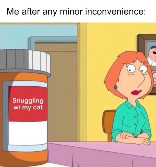 A Family Guy screenshot forms a relatable health-satire pet meme featuring a giant orange prescription medicine bottle labeled "Snuggling w/ my cat" sitting in front of an exhausted Lois Griffin.
