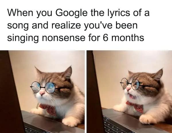 A relatable two-panel pet meme features a fluffy cat wearing round glasses and a bow tie looking into a laptop screen, changing from deep concentration to absolute shock under text about discovering you've been singing completely fake lyrics for six months.