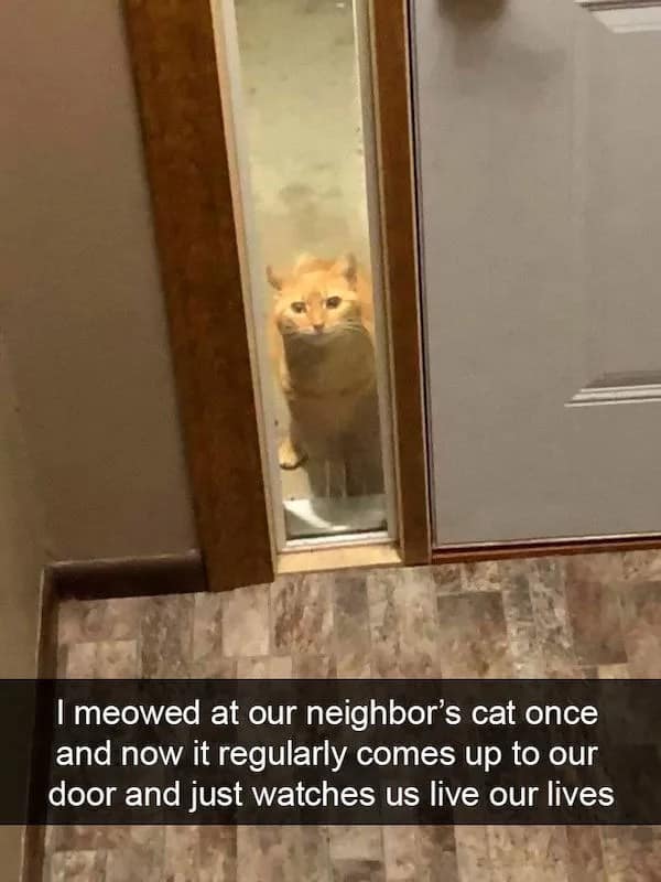 A hilarious neighborhood pet meme captures an unblinking orange cat staring deeply through a narrow front door side-window under text explaining how a single casual greeting meow turned the feline into a permanent surveillance stalker.