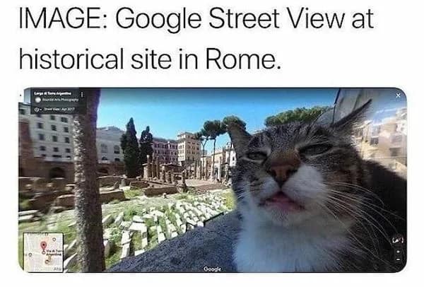 A historic travel find operating as a stellar pet meme displays a Google Street View panoramic shot from a Roman archaeological ruin where a stray cat has hilariously photobombed the lens with a smug, squinty close-up expression.