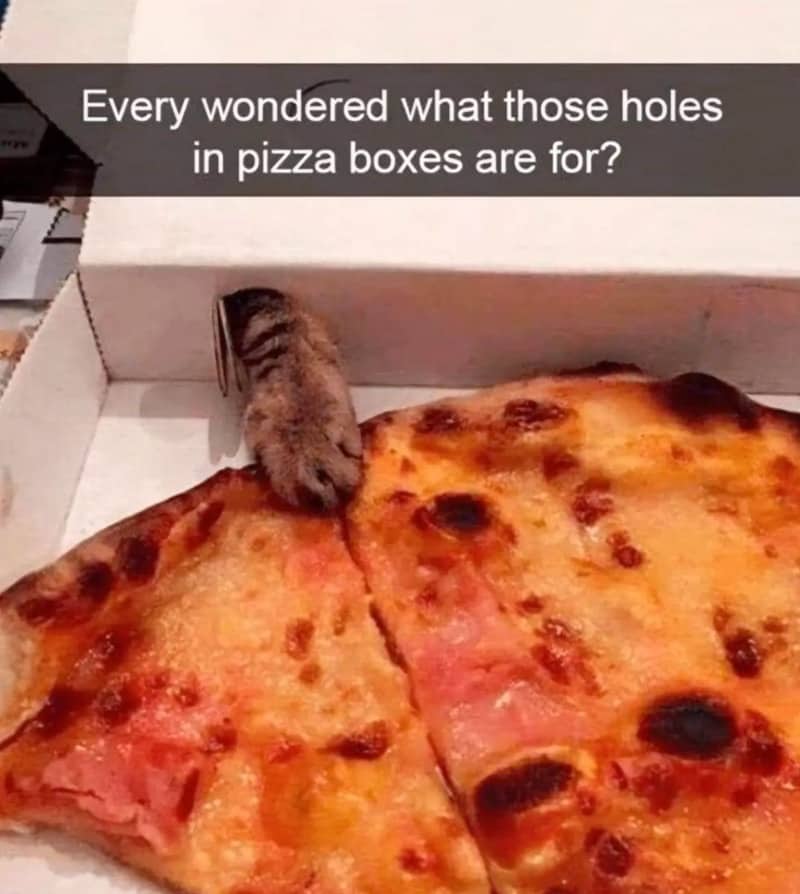 A cat's paw reaching through a small hole in a cardboard box to touch pizza.