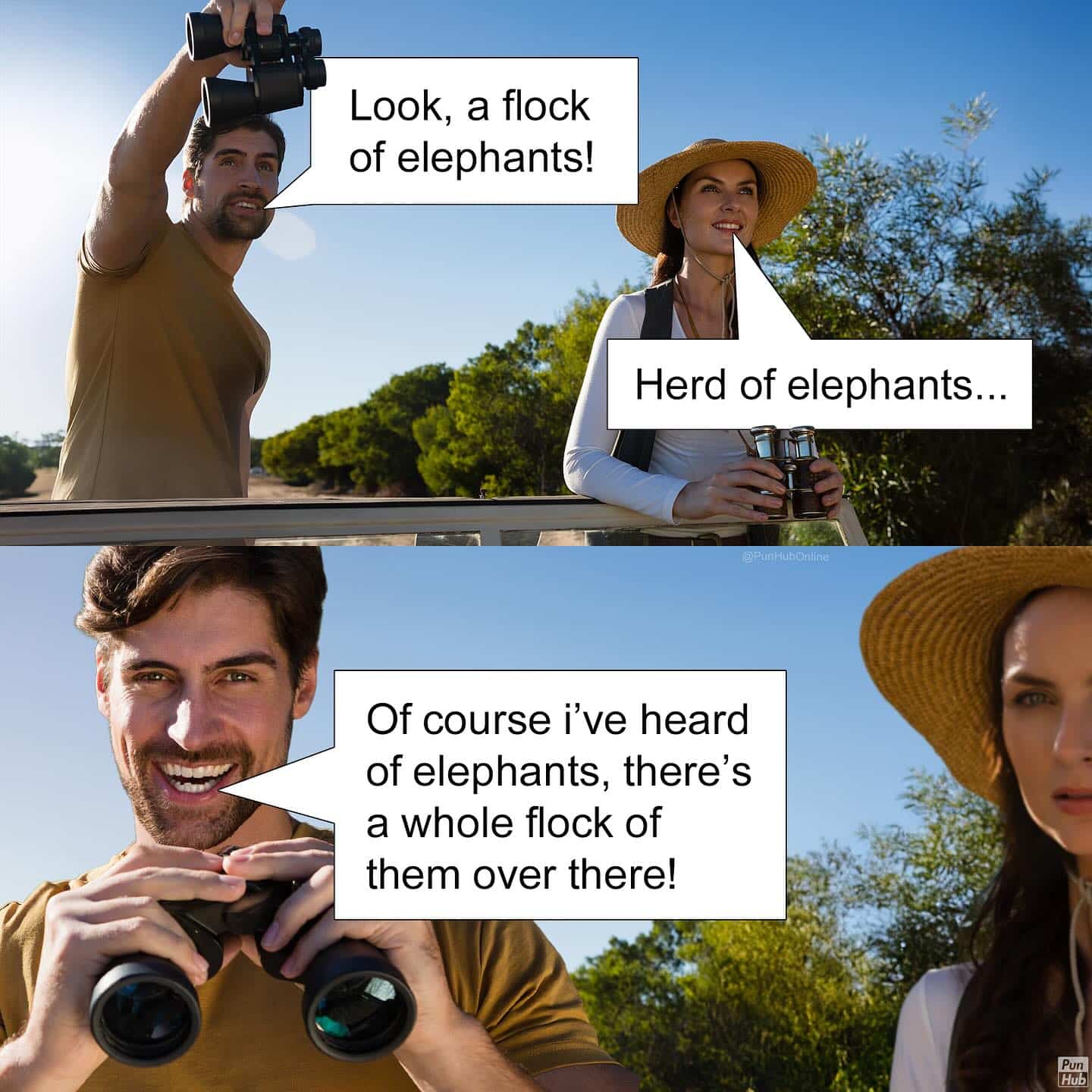 Two-panel safari meme featuring a man delivering a classic flock or herd linguistic pun.