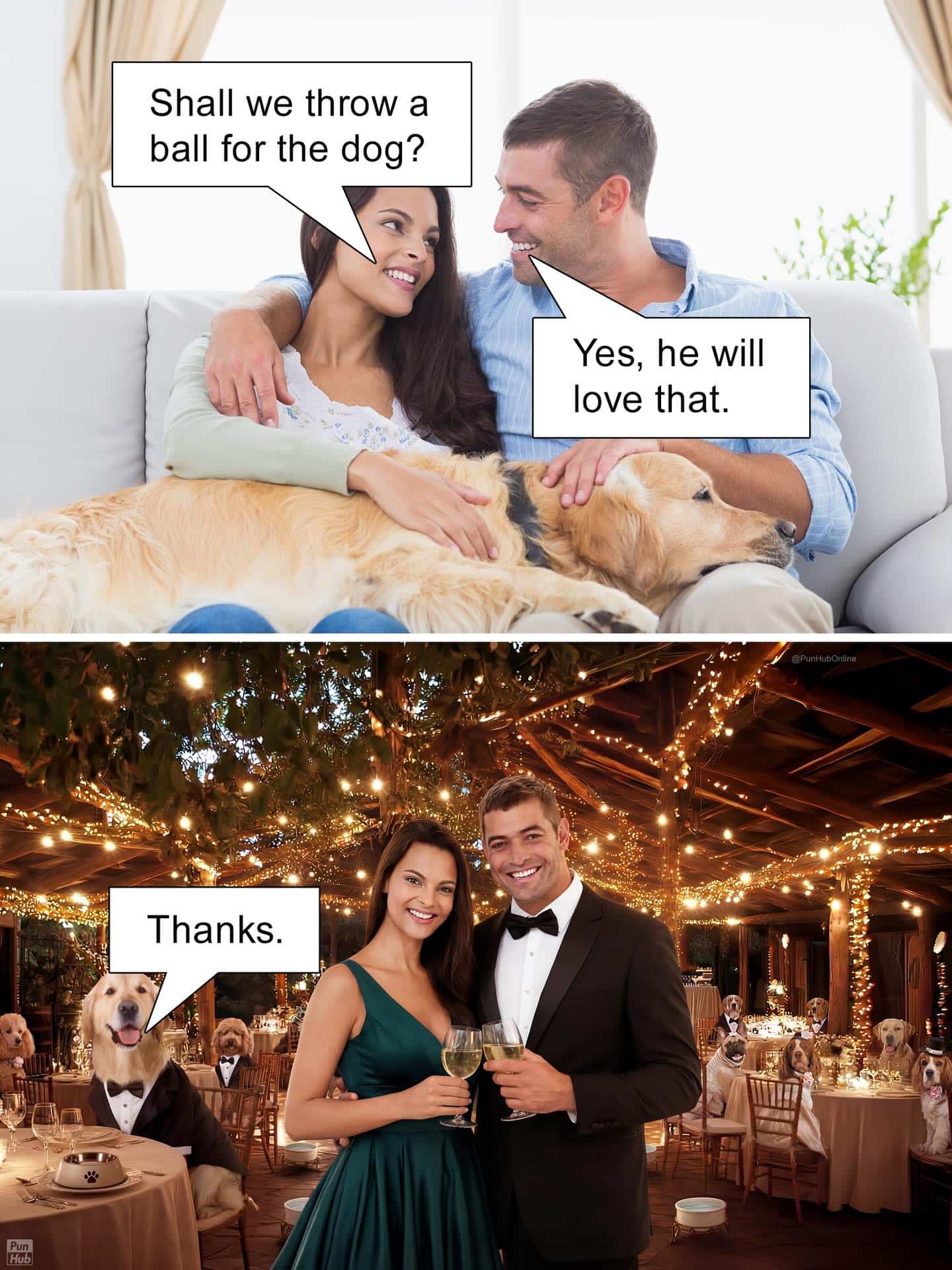Two-panel meme showing a couple throwing a literal formal ballroom gala for their golden retriever.