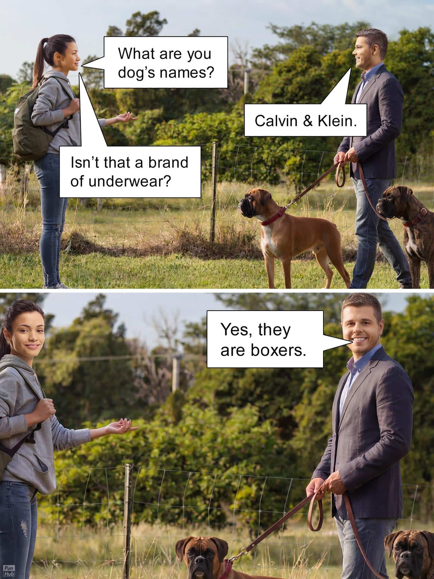 Two-panel dog walking meme with a boxer underwear pun based on Calvin and Klein.