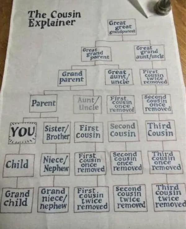 A hand-drawn family tree titled The Cousin Explainer provides a useful random fact for identifying relationships like second cousins once removed.