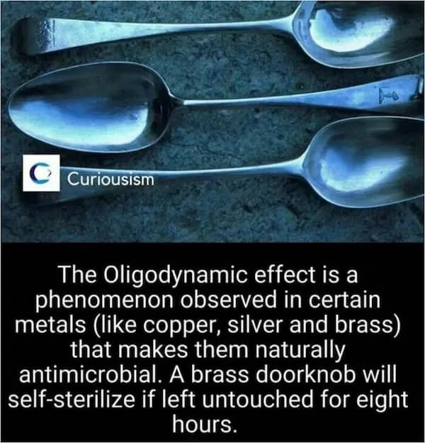 Silver spoons on a dark background illustrating the oligodynamic effect of self-sterilizing metals, an important random fact regarding antimicrobial surfaces.