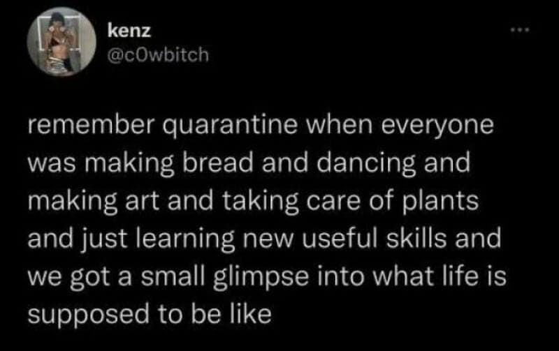 A text-based tweet screenshot by user kenz reflects on the early 2020 global lockdown phase as a brief, therapeutic glimpse into a slower pace of human existence, anchoring a deeply relatable meme.