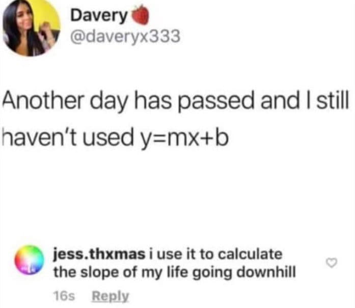 A self deprecating meme featuring a math joke where a user uses the slope-intercept formula y = mx + b to calculate the exact angle of their life going downhill.