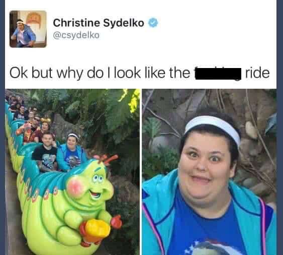 A self deprecating meme by Christine Sydelko comparing her wide-eyed, smiling expression to the face of the caterpillar roller coaster car she is currently riding.
