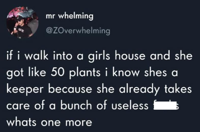 A self deprecating meme tweet from @ZOverwhelming stating that a girl with 50 plants is a "keeper" because she's already used to caring for "useless" things.