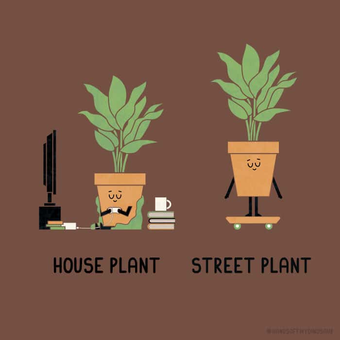 A clever single panel comic by Get Your Hands Off My Dinosaur comic comparing a "House Plant" sitting at a desk playing video games to a "Street Plant" expertly riding a tiny skateboard.