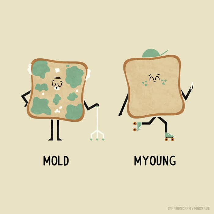 A single panel comic comparing an elderly, spotted piece of bread with a cane labeled "Mold" to a youthful piece of bread on roller skates wearing a hat labeled "Myoung."