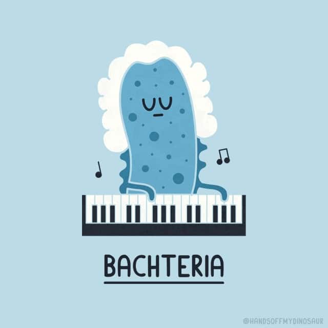 A musical single panel comic titled "Bachteria," featuring a microscopic blue germ wearing a massive white powdered wig while intensely playing a piano.