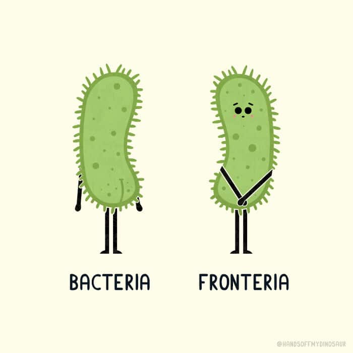 A cheeky single panel comic comparing a green "Bacteria" microbe shown from the rear to a "Fronteria" microbe wearing a black thong and seen from the front.