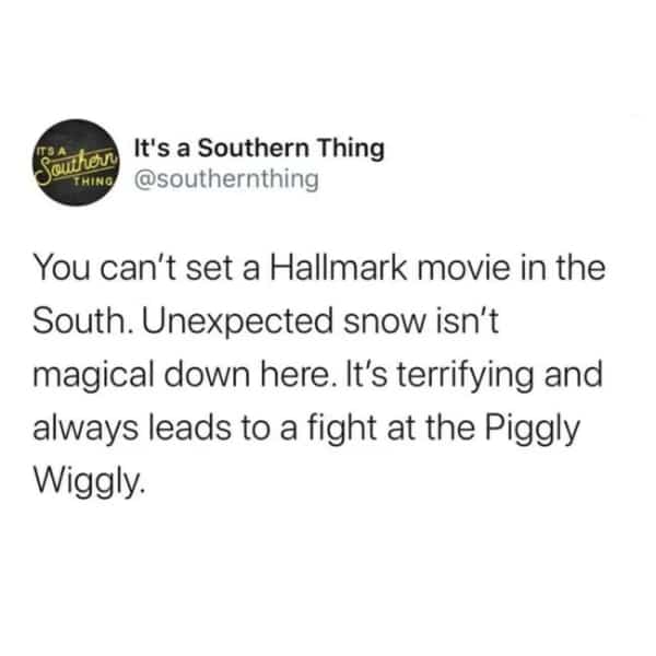 Text post from It's a Southern Thing about Hallmark movies and snow at Piggly Wiggly.