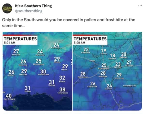 Weather maps showing temperatures in the 20s across the South with a pollen joke.