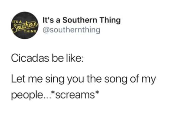 Text post about cicadas singing the "song of their people" by screaming.