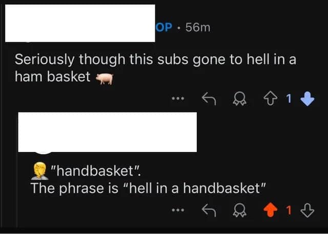 A Reddit comment thread where a user claims a subreddit has "gone to hell in a ham basket," prompting a correction for the idiom "hell in a handbasket."