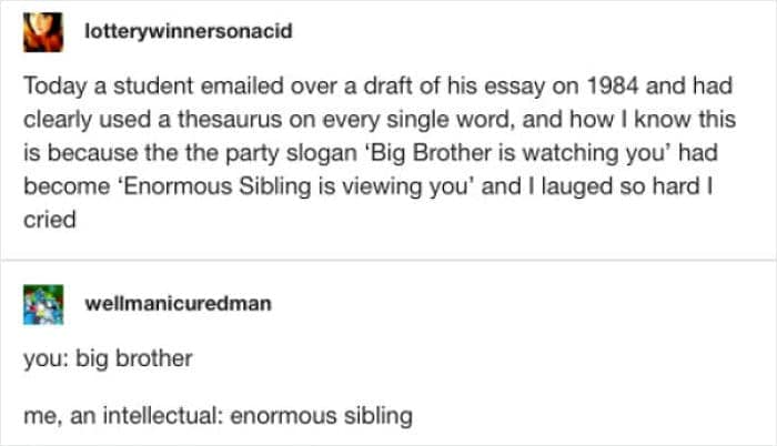 student meme describing a legendary thesaurus fail where a student’s essay on 1984 turned the phrase "Big Brother is watching you" into the absurd "Enormous Sibling is viewing you."