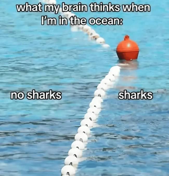 An accurate psychological beach meme shows a floating swimming safety lane marker in the ocean, jokingly dividing the water with labels reading "no sharks" on the inside and "sharks" on the open water side under the header, "what my brain thinks when I'm in the ocean."