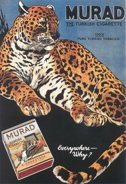 An artistic vintage cigarette ad for Murad Turkish Cigarettes featuring a large, detailed illustration of a leopard lounging next to an ornate, classical-themed cigarette pack.