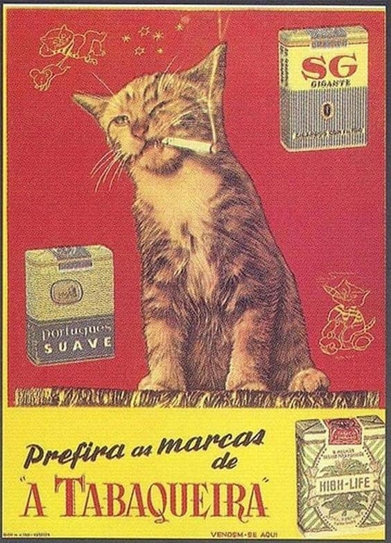 A bizarre and artistic vintage cigarette ad from a Portuguese tobacco company featuring a ginger tabby cat with one eye squinting as it smokes a lit cigarette. Various cigarette packs like "Português Suave" and "High-Life" are displayed around the frame.