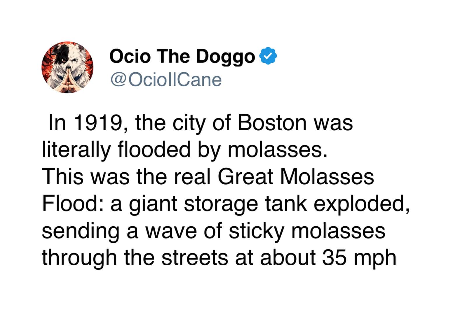 A text screenshot detailing a weird history event from 1919 known as the Great Molasses Flood, where a burst storage tank in Boston unleashed a 35 mph wave of sticky molasses through the city streets.