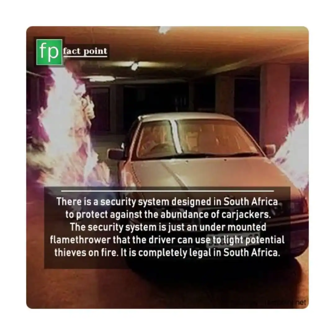 weird product fact-card showing a silver car in a garage with massive plumes of fire shooting out from under-mounted side flamethrowers, described as a legal anti-carjacking security system in South Africa.