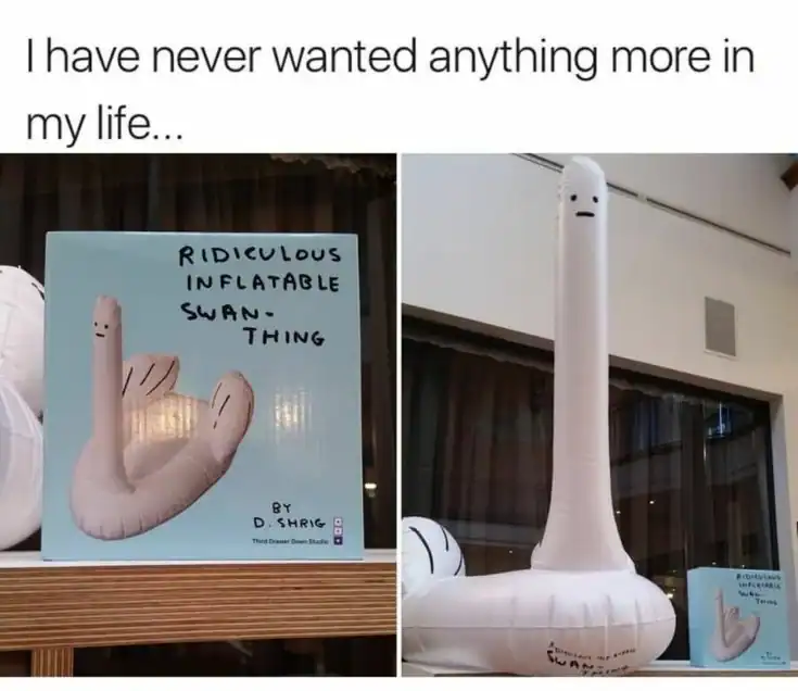 A minimalist and slightly unsettling weird product called the "Ridiculous Inflatable Swan-Thing," featuring a pool float with an impossibly long neck and a tiny, flat, judgmental face.