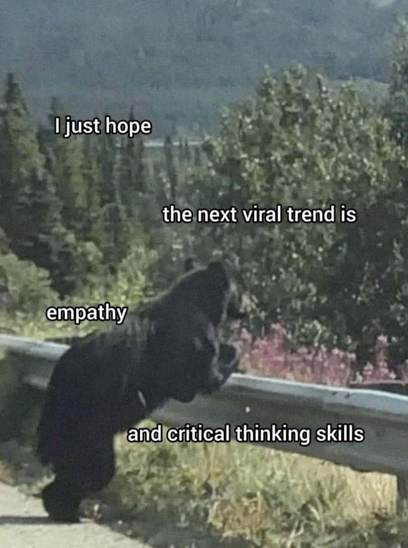 Black bear looking over a highway guardrail with text hoping empathy becomes a viral trend.