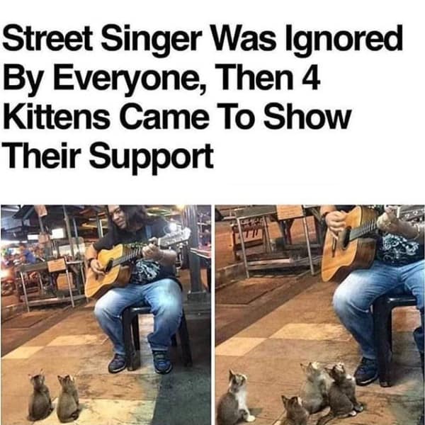 A two-panel wholesome meme of a street musician playing his guitar in Malaysia; after being ignored by human passersby, four tiny kittens sat in a row to provide him with a dedicated and attentive audience.