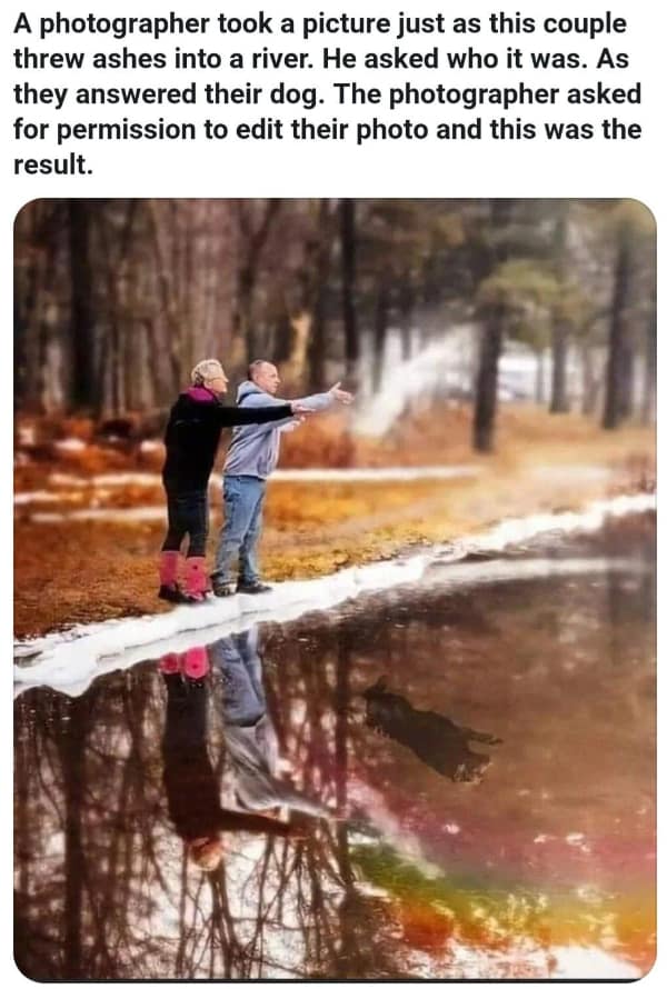 A powerful wholesome meme showing a couple scattering ashes into a river; a creative edit shows the silhouette of a dog in the water's reflection, jumping up to meet the falling ashes in one final spectral game of fetch.