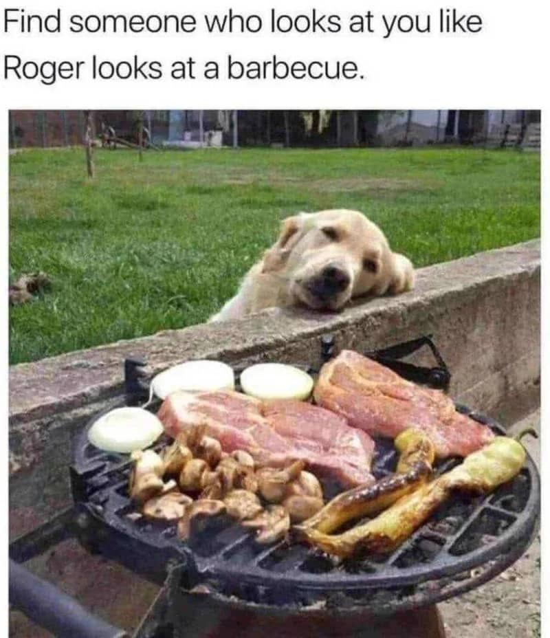 A golden retriever dog named Roger resting his head on a wall looking at a barbecue grill.