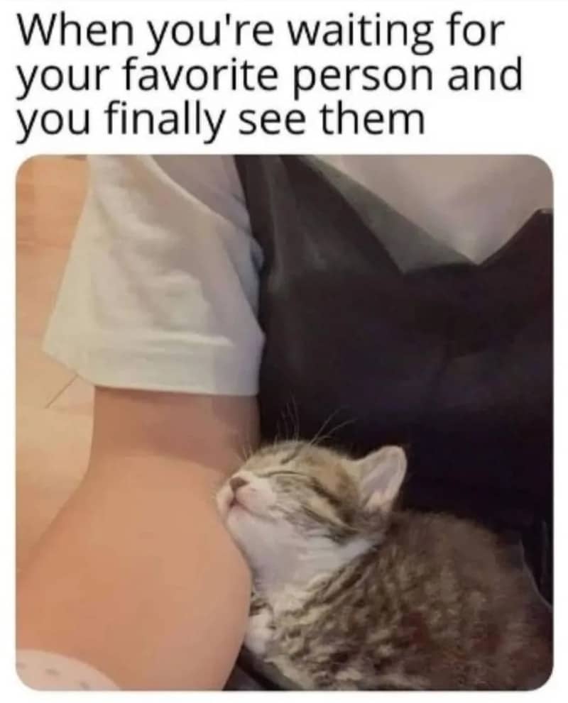 A tiny striped kitten sleeping peacefully nestled against a human person's arm.