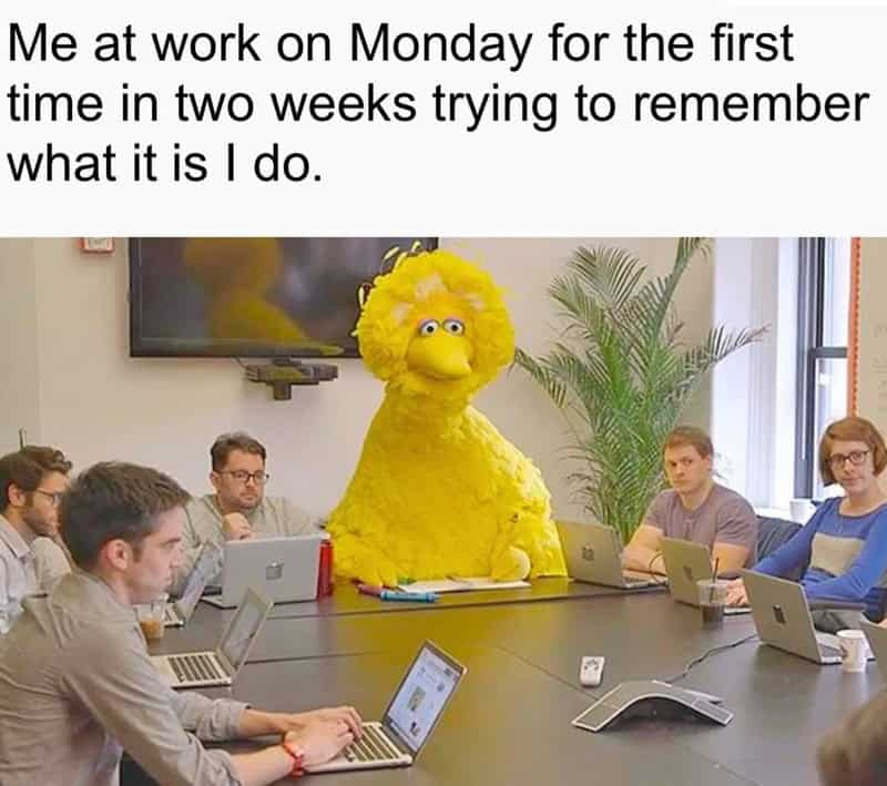 hilarious work meme featuring a giant, bright yellow Big Bird sitting in a sleek, glass-walled conference room surrounded by professionals with laptops. The text captures the struggle of returning from vacation: "Me at work on Monday for the first time in two weeks trying to remember what it is I do."